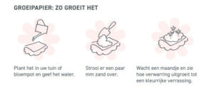 eerste vestiging Nederland,Renotec,Illustratie met de stappen voor het gebruik van 'groeipapier': 1. Plant het en geef het water. 2. Bedek het met zand. 3. Wacht een maand tot het groeit. De Nederlandse tekst geeft instructies.